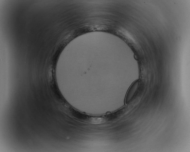 X0000094900169200712271459