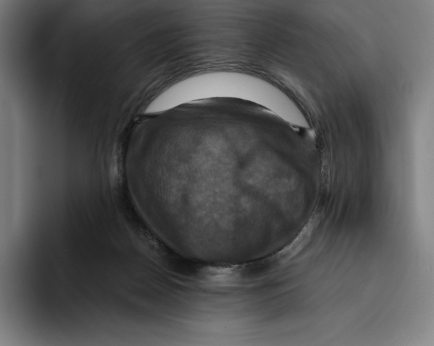 X0000094900170200712271459