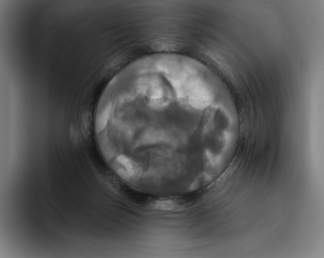X0000094900171200712271459