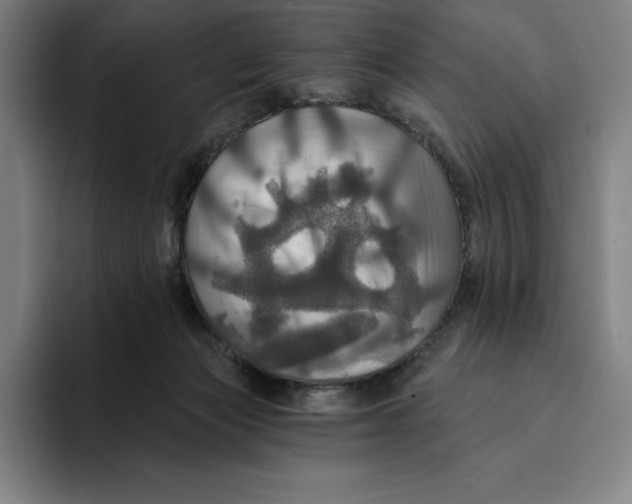 X0000094900173200712271459