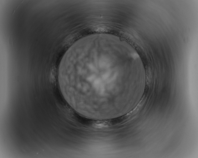 X0000094900175200712271459