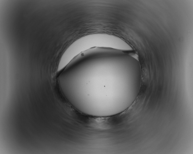 X0000094900184200712271500