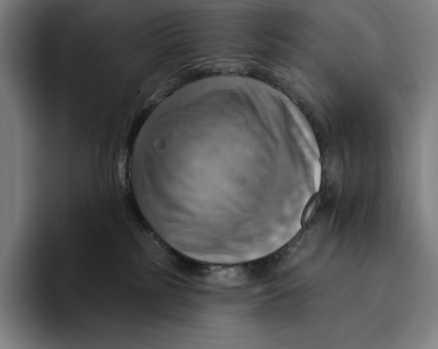 X0000094900185200712271500