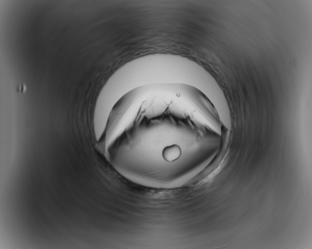 X0000094900186200712271500