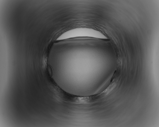 X0000094900188200712271500