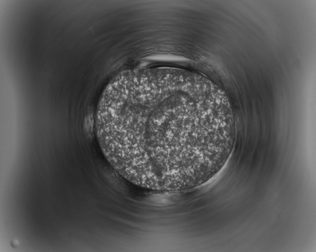 X0000094900190200712271500