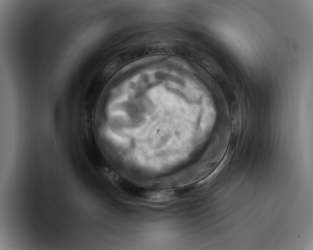 X0000094900191200712271500