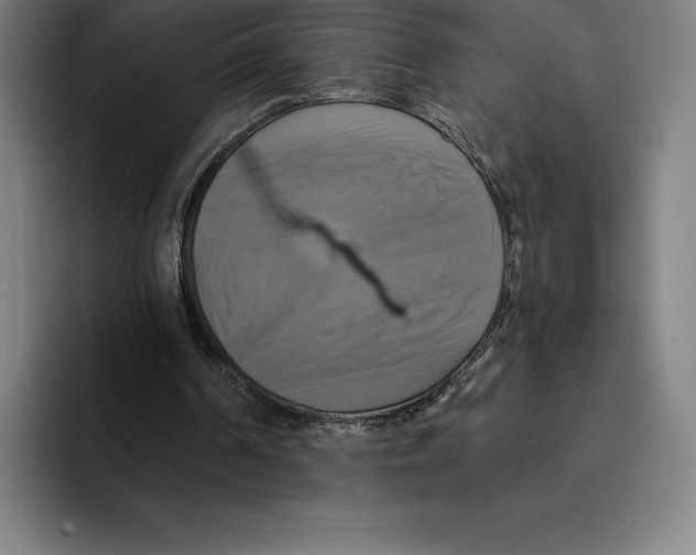 X0000094900194200712271459