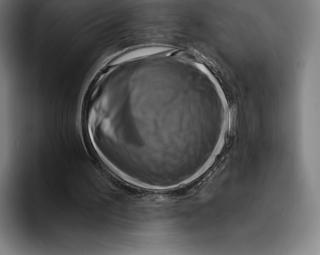 X0000094900195200712271459