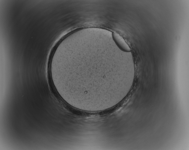 X0000094900196200712271459