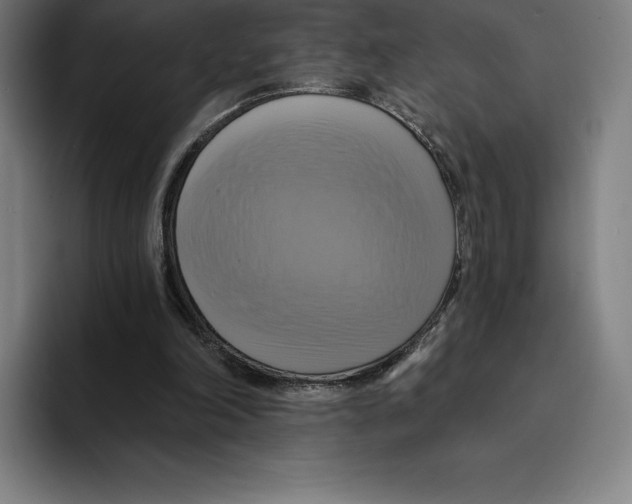 X0000094900198200712271459
