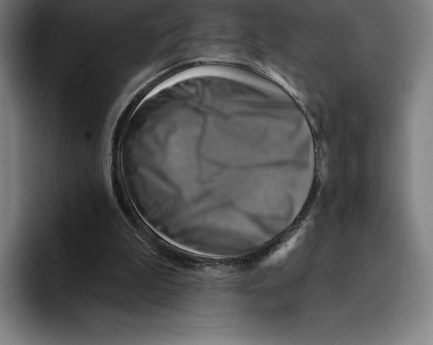 X0000094900199200712271459