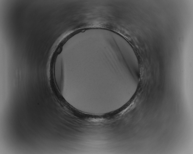 X0000094900200200712271459