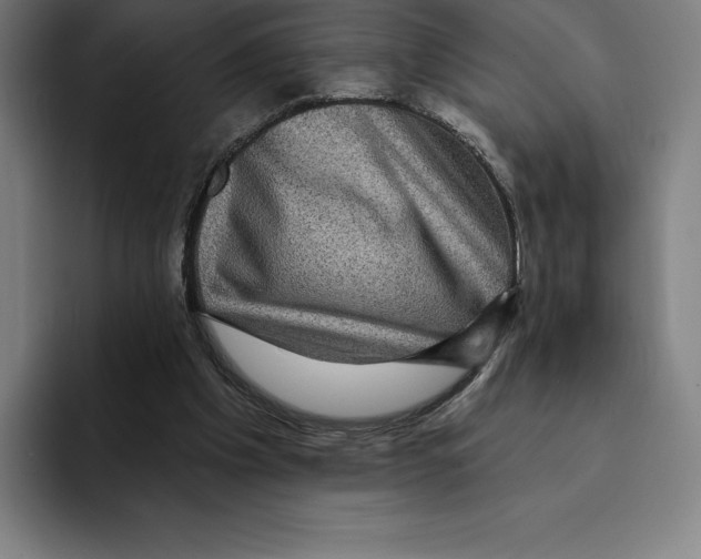X0000094900201200712271459