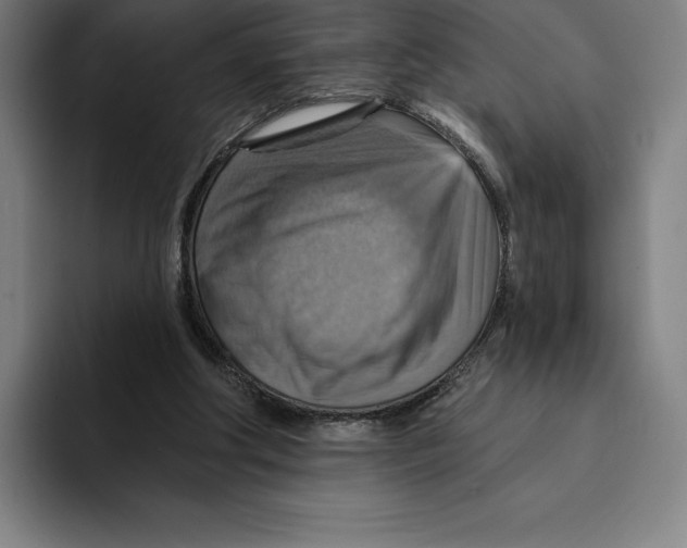X0000094900202200712271459