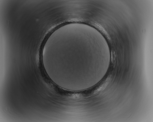 X0000094900204200712271459