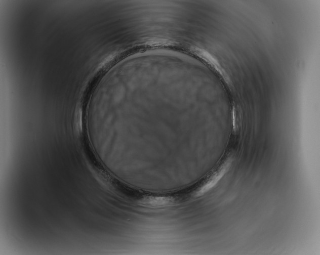 X0000094900205200712271459