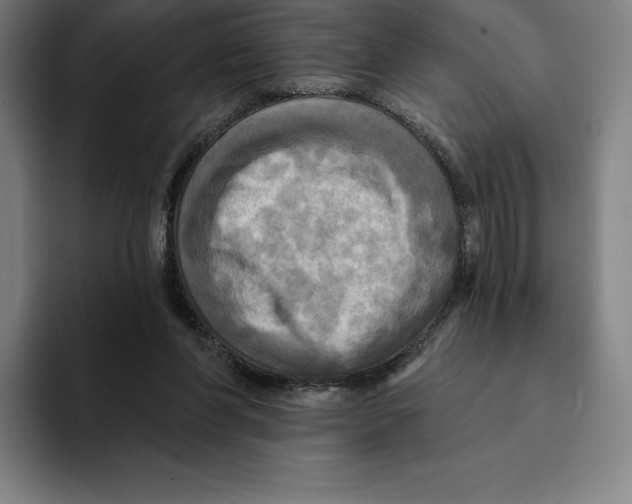 X0000094900206200712271459