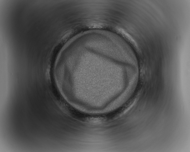 X0000094900209200712271459