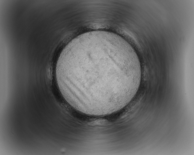 X0000094900210200712271459