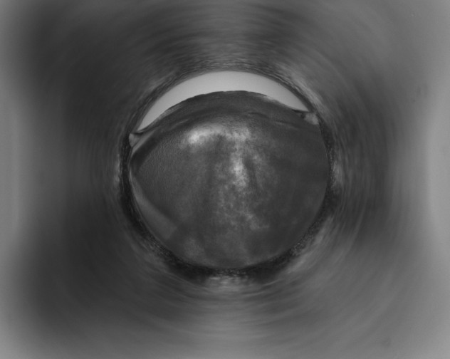 X0000094900211200712271459