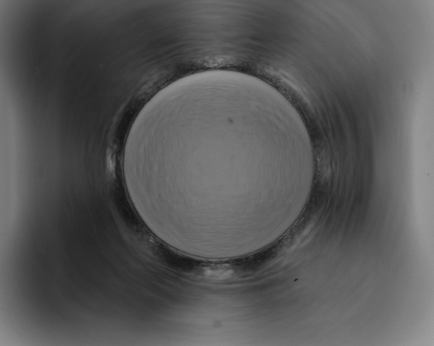 X0000094900214200712271459