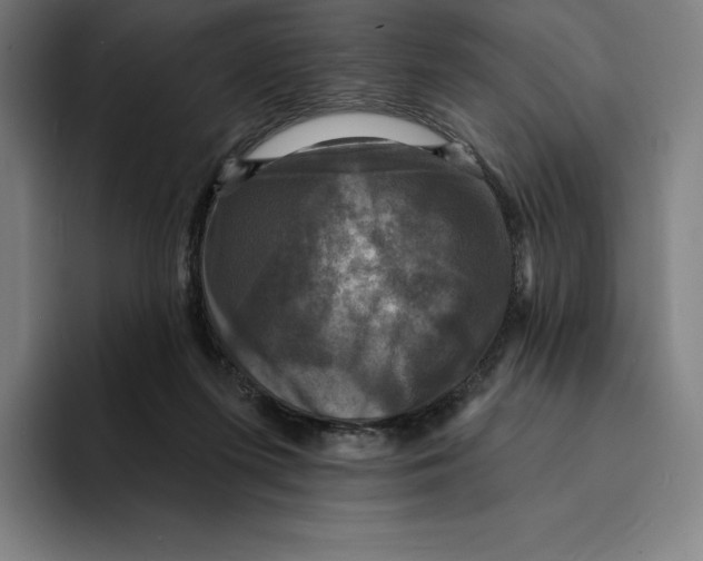 X0000094900215200712271459
