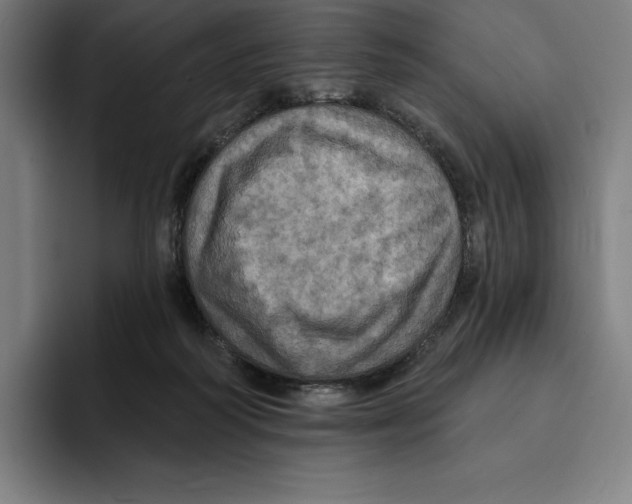 X0000094900218200712271459