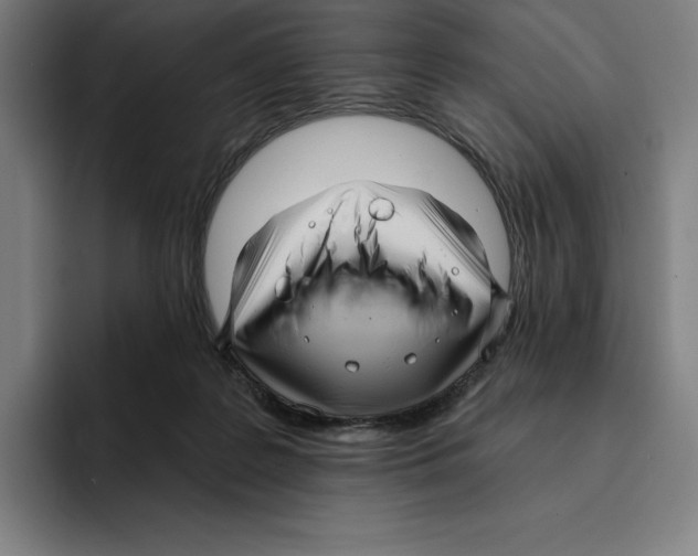 X0000094900219200712271459