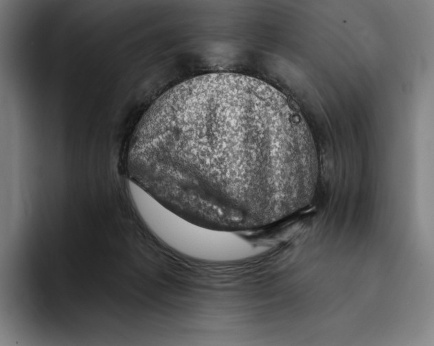 X0000094900221200712271459