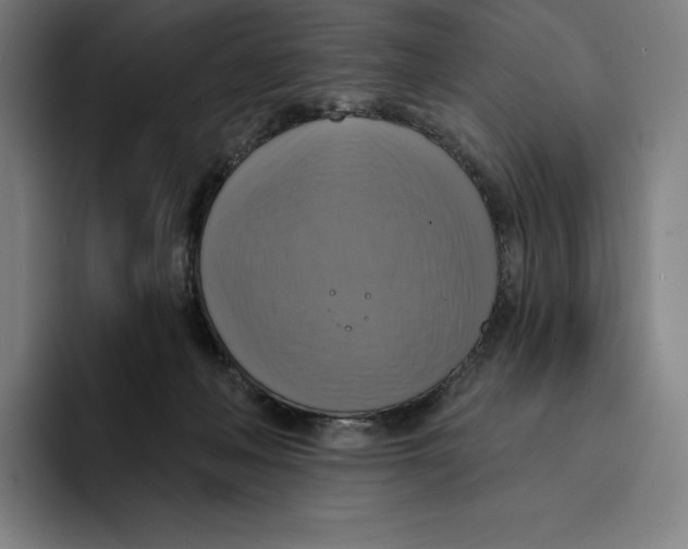 X0000094900222200712271459