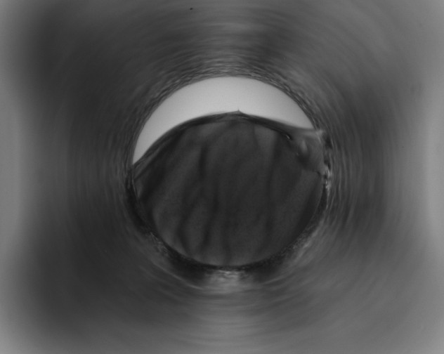 X0000094900227200712271459