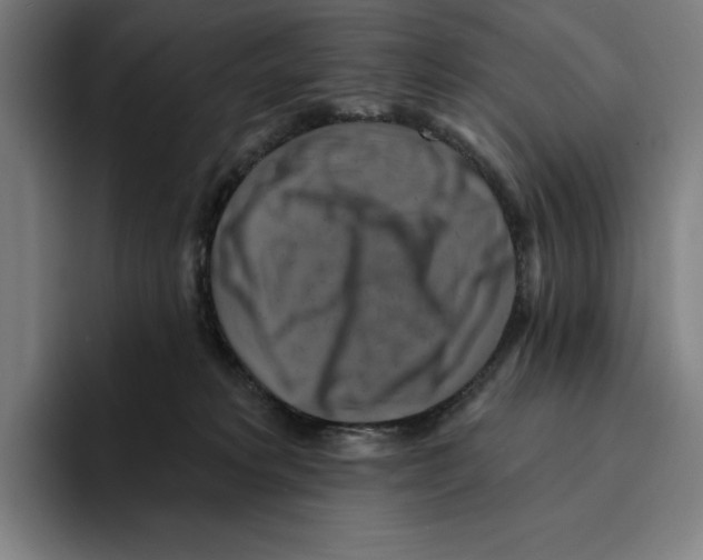 X0000094900229200712271459
