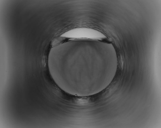 X0000094900232200712271458