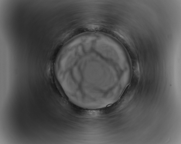 X0000094900233200712271458