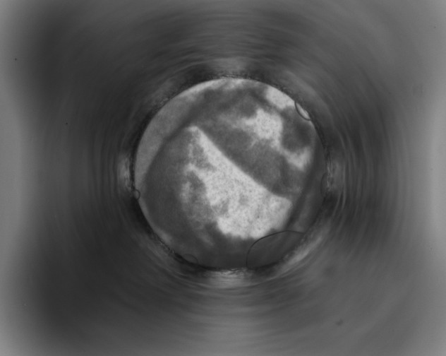 X0000094900238200712271458