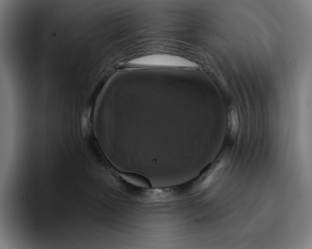 X0000094900239200712271458