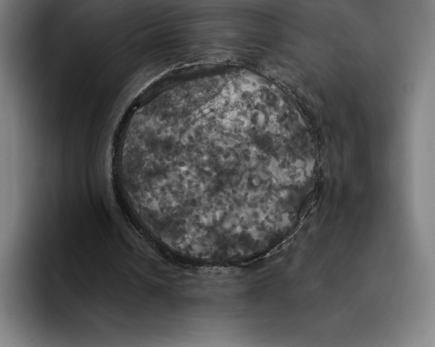 X0000094900242200712271458