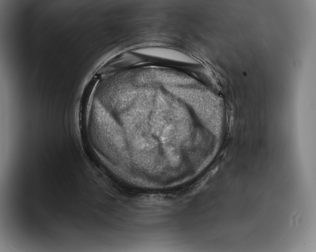X0000094900244200712271458