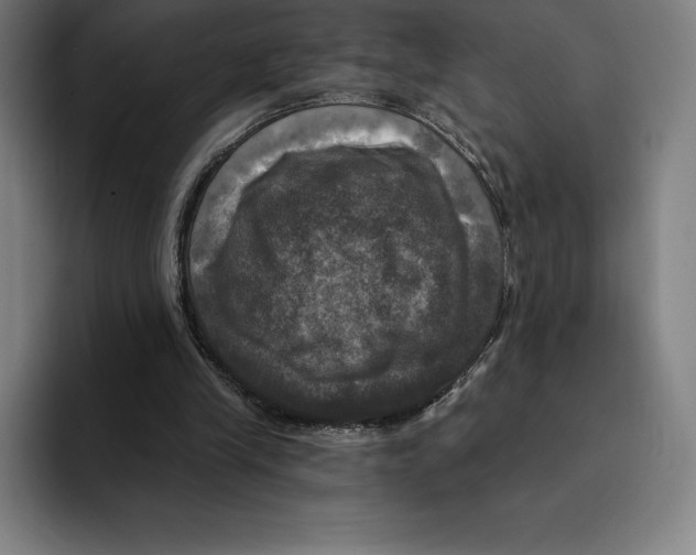 X0000094900245200712271458
