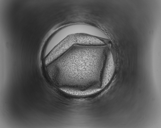 X0000094900246200712271458