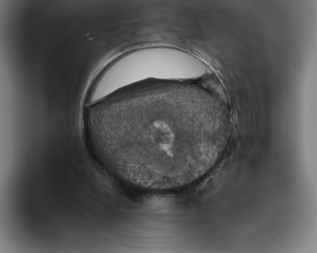 X0000094900248200712271458
