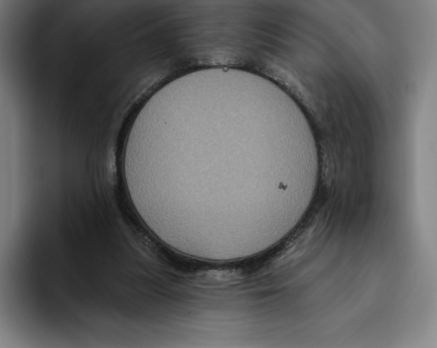 X0000094900251200712271458