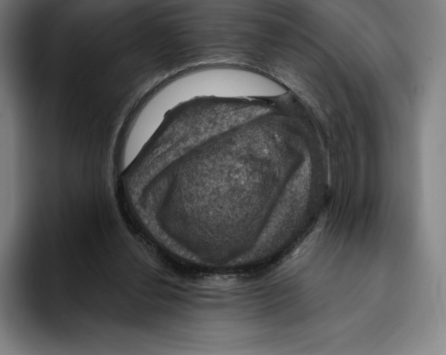 X0000094900252200712271458