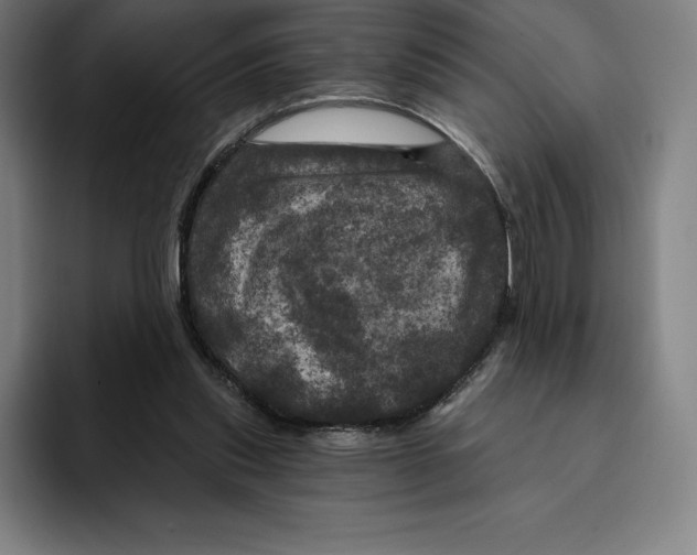 X0000094900253200712271458