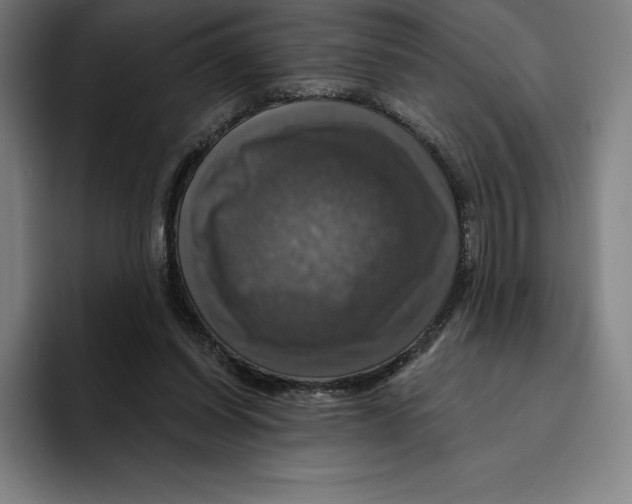 X0000094900254200712271458