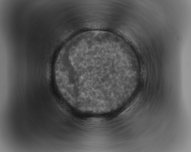 X0000094900255200712271458