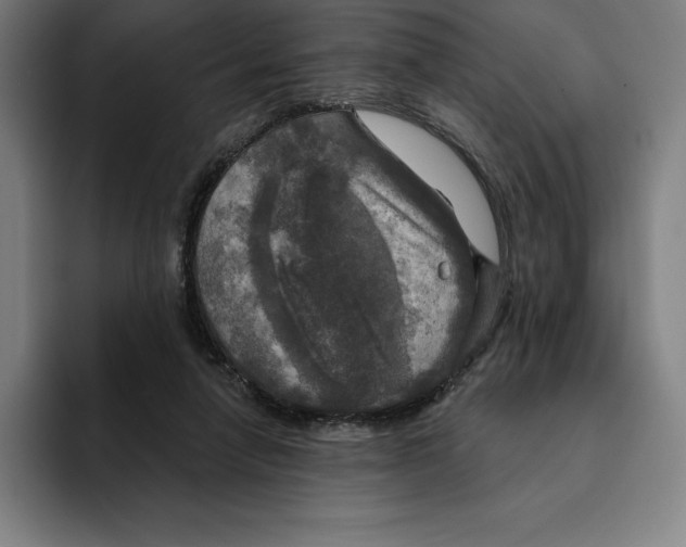 X0000094900258200712271458