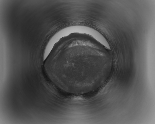 X0000094900262200712271458