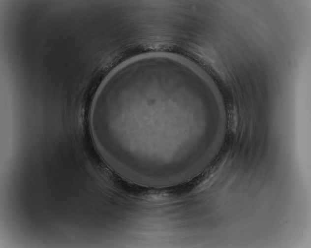 X0000094900263200712271458